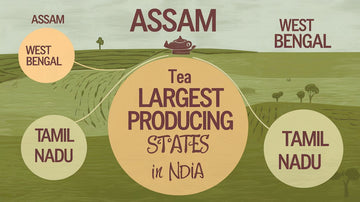 Largest Tea Producing States in India: Indian Tea Producing States