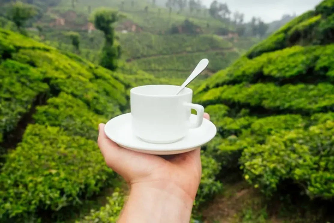 The Journey of a Tea Cup Ft. Freshleaf teas